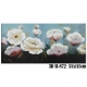 Panza 3D 55x115 SI-872