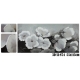 Panza 3D 55x115 SI-874