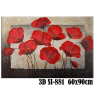 Panza 3D 60x90 SI-881