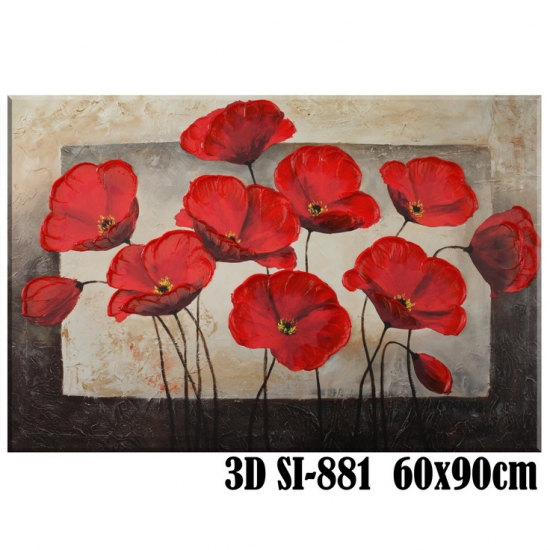 Panza 3D 60x90 SI-881