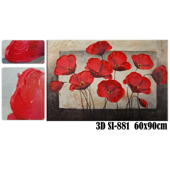 Panza 3D 60x90 SI-881