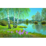 A-030 60x100 N5