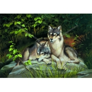 A-040-G 33x70 N3 G