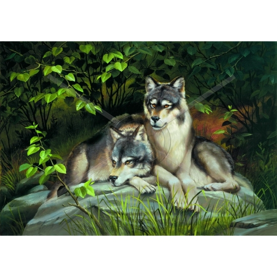 A-040-G 33x70 N3 G