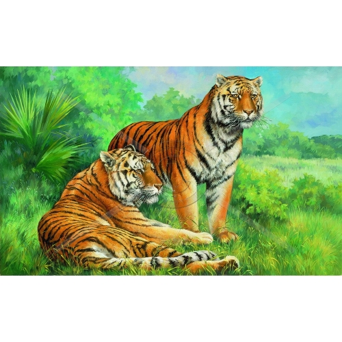 A-080 60x100 N5