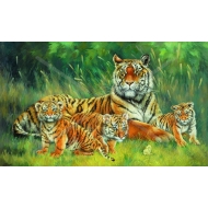 A-088 40x50 N3 A-088 40x50 N3