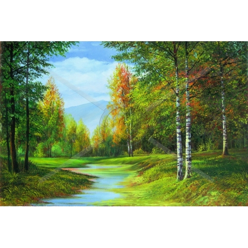 A-141 60x100 N5