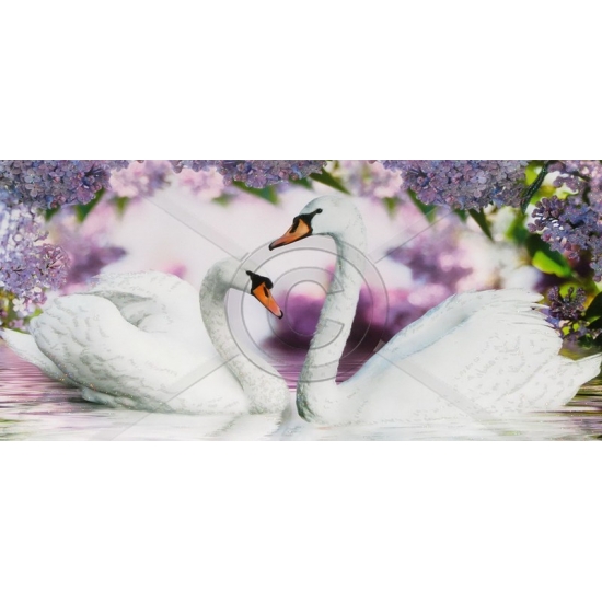 FV-197G 50x100 N3-3 G