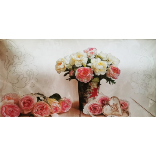 FV-458-G 33x70 N3 G FV-458-G 33x70 N3 G