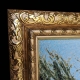 Тигры GOB 50x100 N6