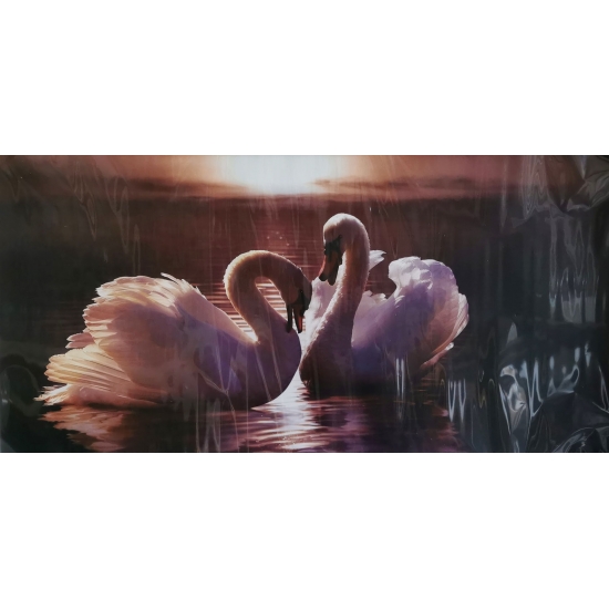 SI-'model02'-'50x100