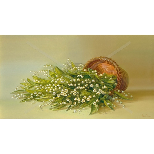 SI-006 50x100 N4 SI-006 50x100 N4