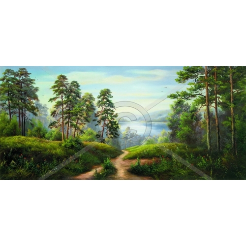 SI-017 40x50 N3 SI-017 40x50 N3