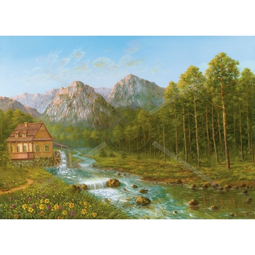 SI-028 30x40 N3 SI-028 30x40 N3