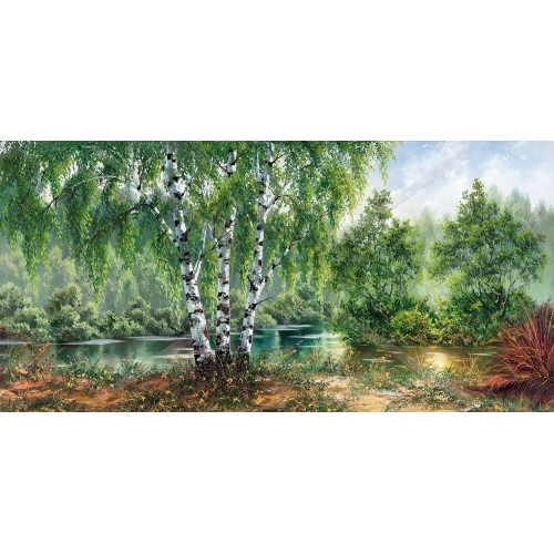 SI-038 50x100 N4 SI-038 50x100 N4