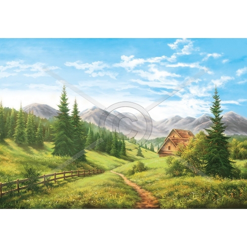 SI-408 50x100 N4  SI-408 50x100 N4
