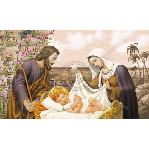 SI-622-G 33x70 N3-3G