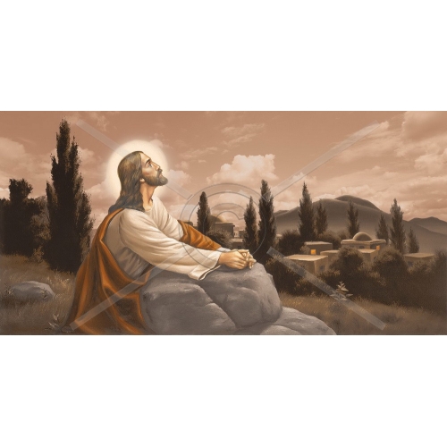 SI-624 50x100 N3-3 G