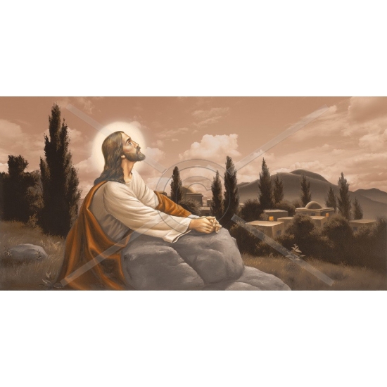 SI-624 50x100 N3-3 G