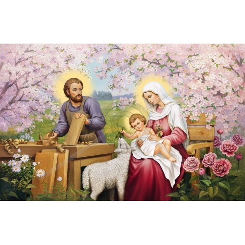 SI-704 50x100 N3-3 G SI-704 50x100 N3-3 G