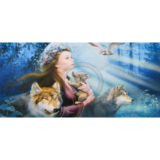 SI-713-G 50x100 N4 G 