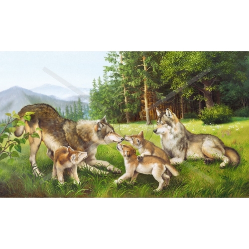 SI-718 60x100 N3-3  SI-718 60x100 N3-3