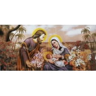 SI-855-G 50x100 N4 G