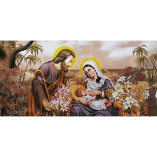 SI-855-G 50x100 N4 G