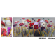 Panza 3D 60x90 SI-902