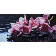 SI-цветы 50x100 N4