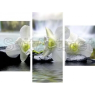 Set modular х3 M3 F-159 70x94